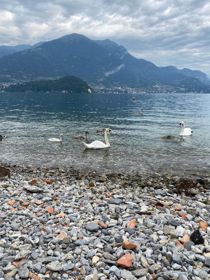 فيلا Lake House Near Bellagio ليتْسّينو المظهر الخارجي الصورة